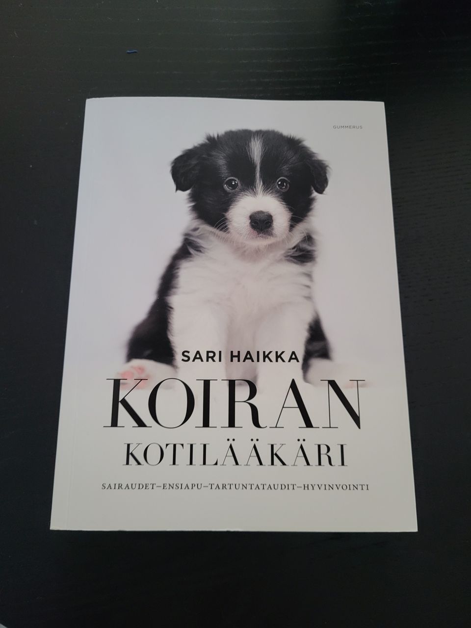 Sari Haikka: Koiran kotilääkäri