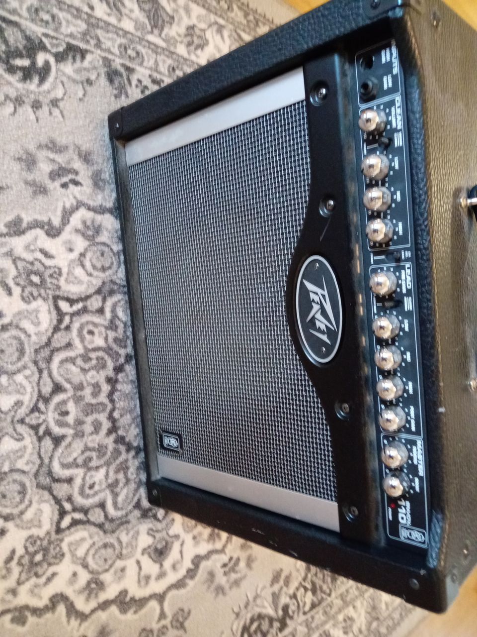 Peavey envoy 110