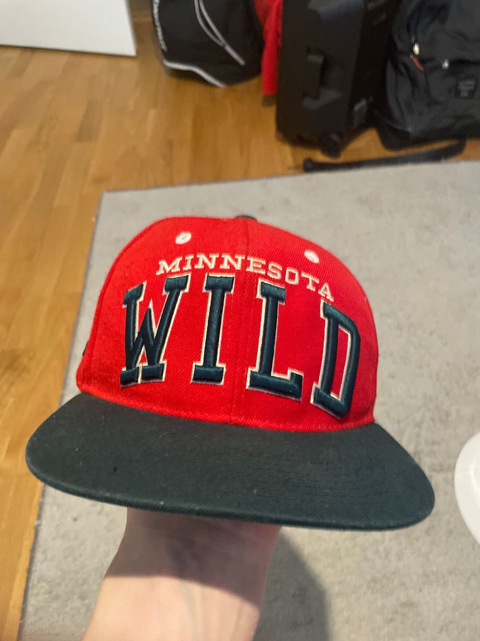 Minnesota wild