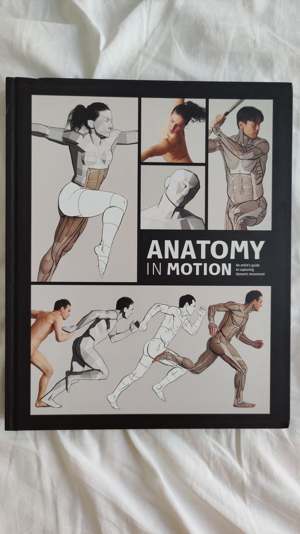 Anatomy in Motion
