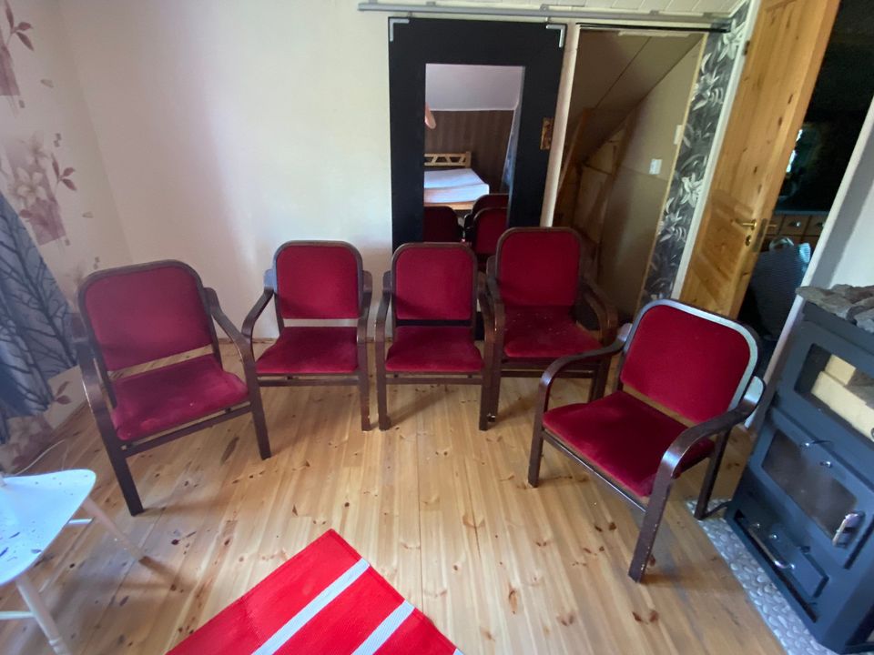6 kpl samettipäällysteisiä tuolia