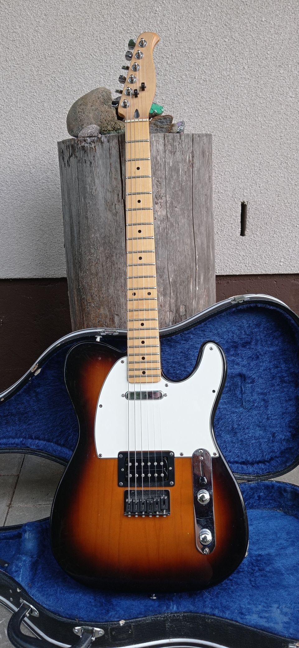 Palacaster/telecaster