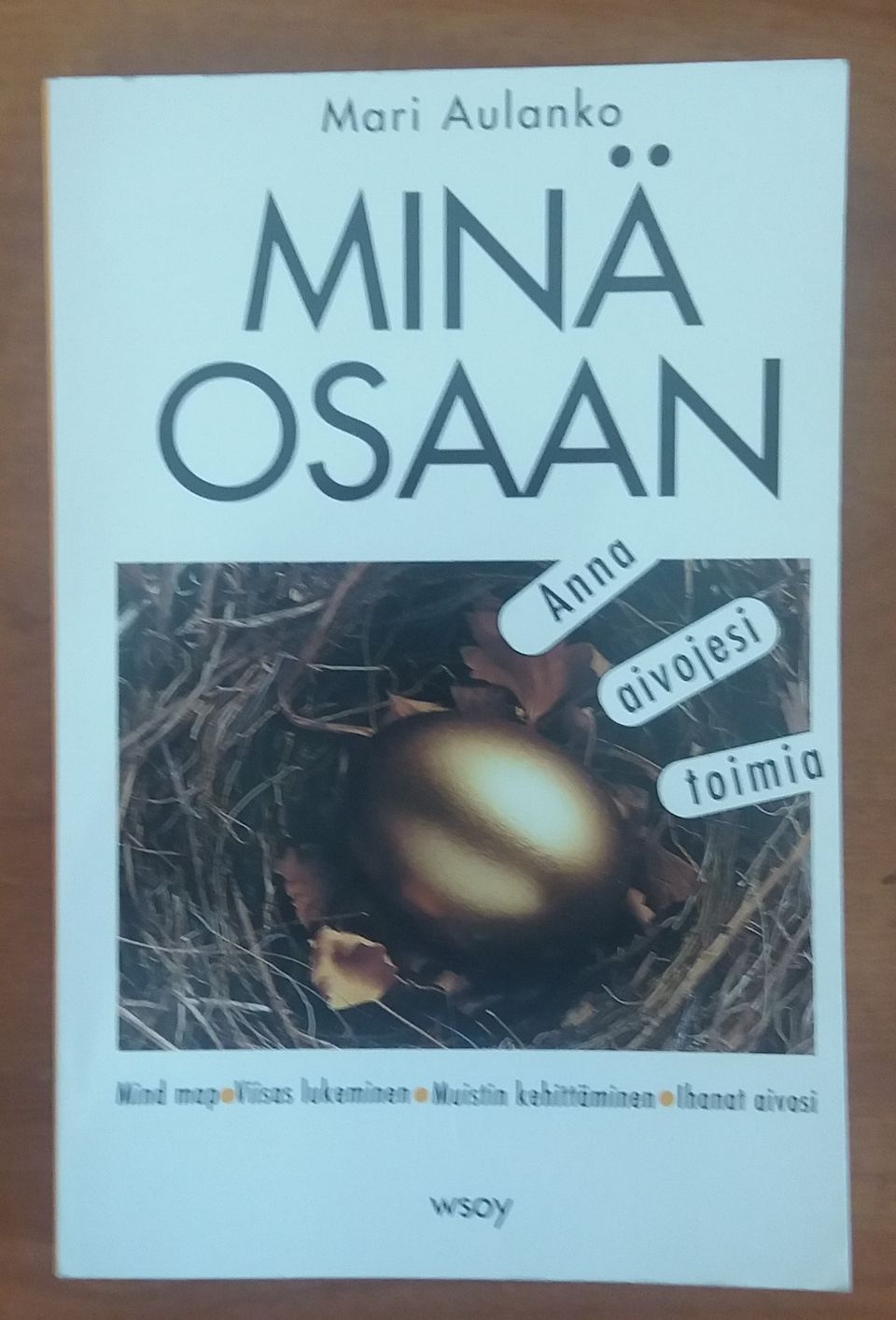 Aulanko Mari MINÄ OSAAN Anna aivojesi toimia