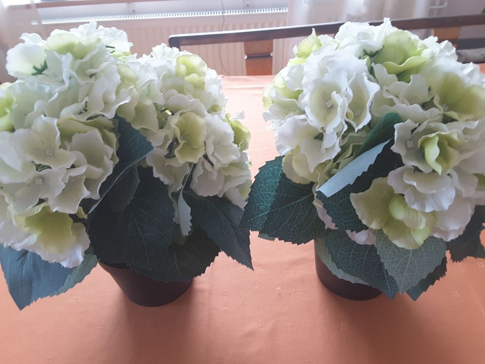 Silkkihortensia tekokukka, 2 kpl