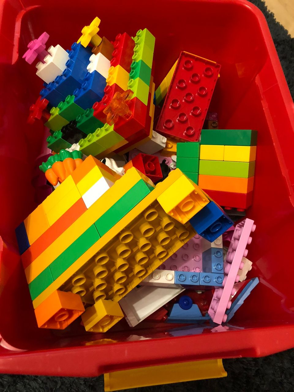 Lego Duplot