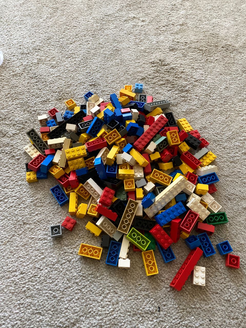 Legon perus palikat
