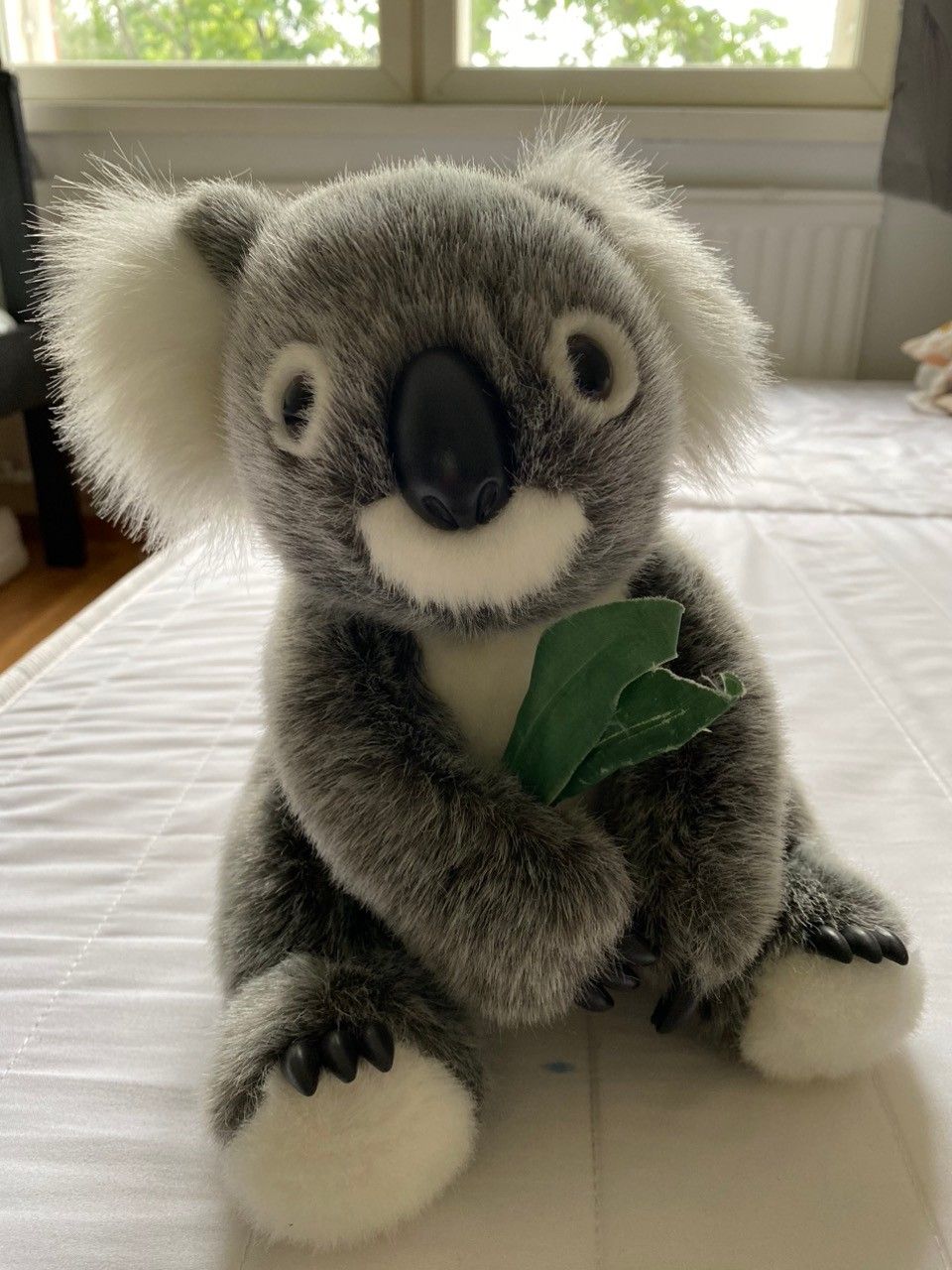 Koala pehmolelu 25cm Australia