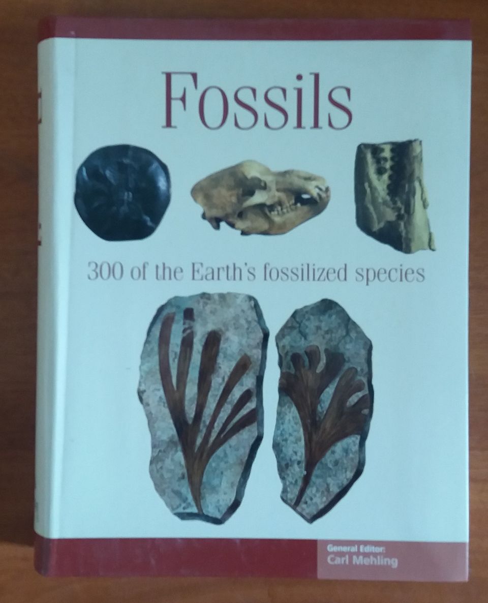 Carl Mehling FOSSILS - 300 of the Earth's fossilised species