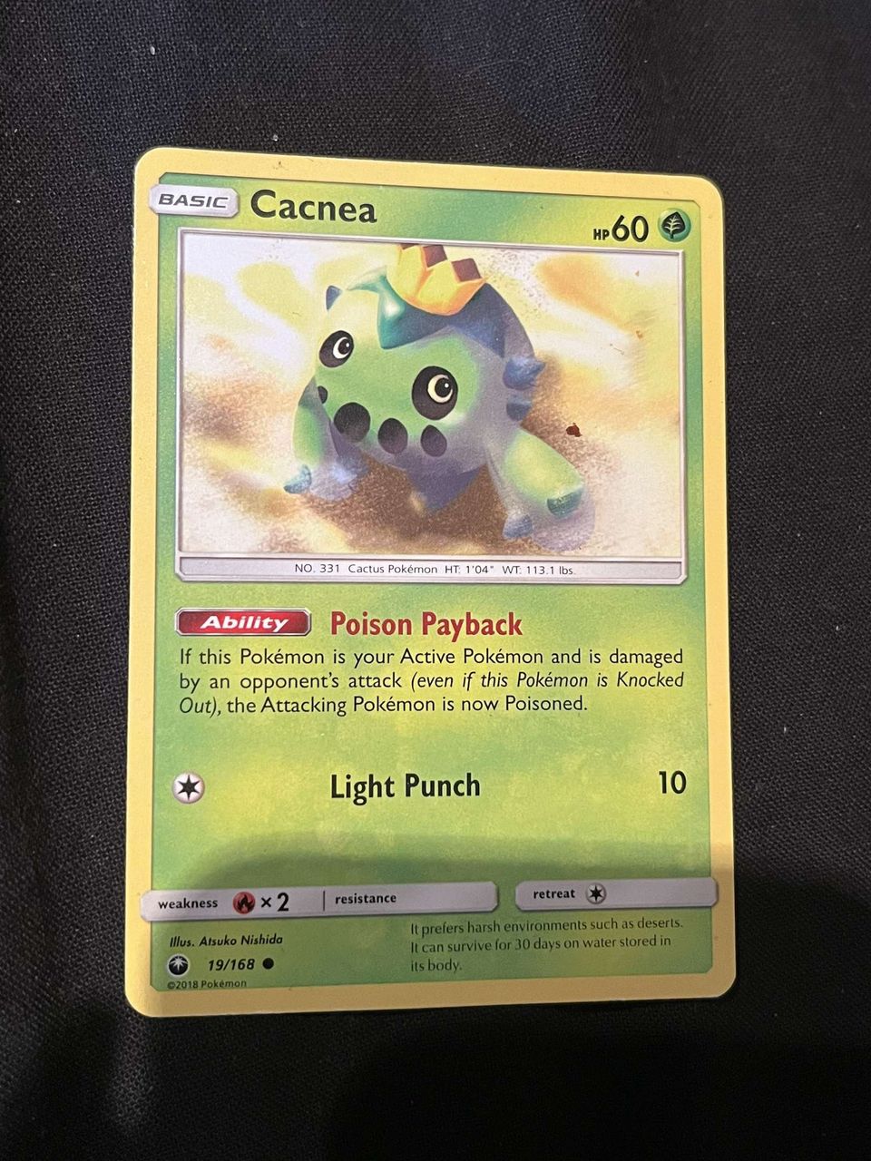 Pokemon kortti CACNEA 19/168