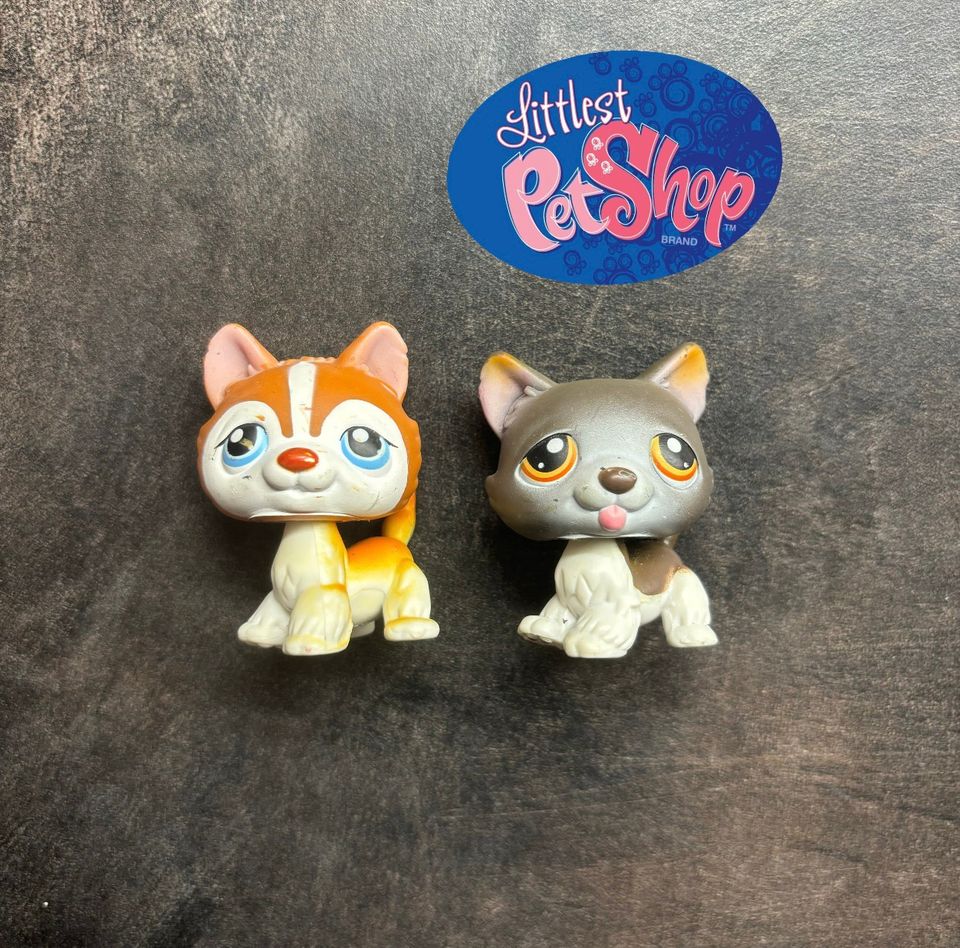 Littlest Pet Shop - Huskyt