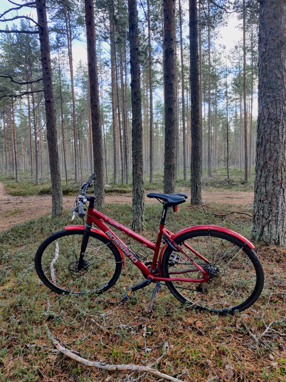 Rossano hybrid premium pyörä 28"