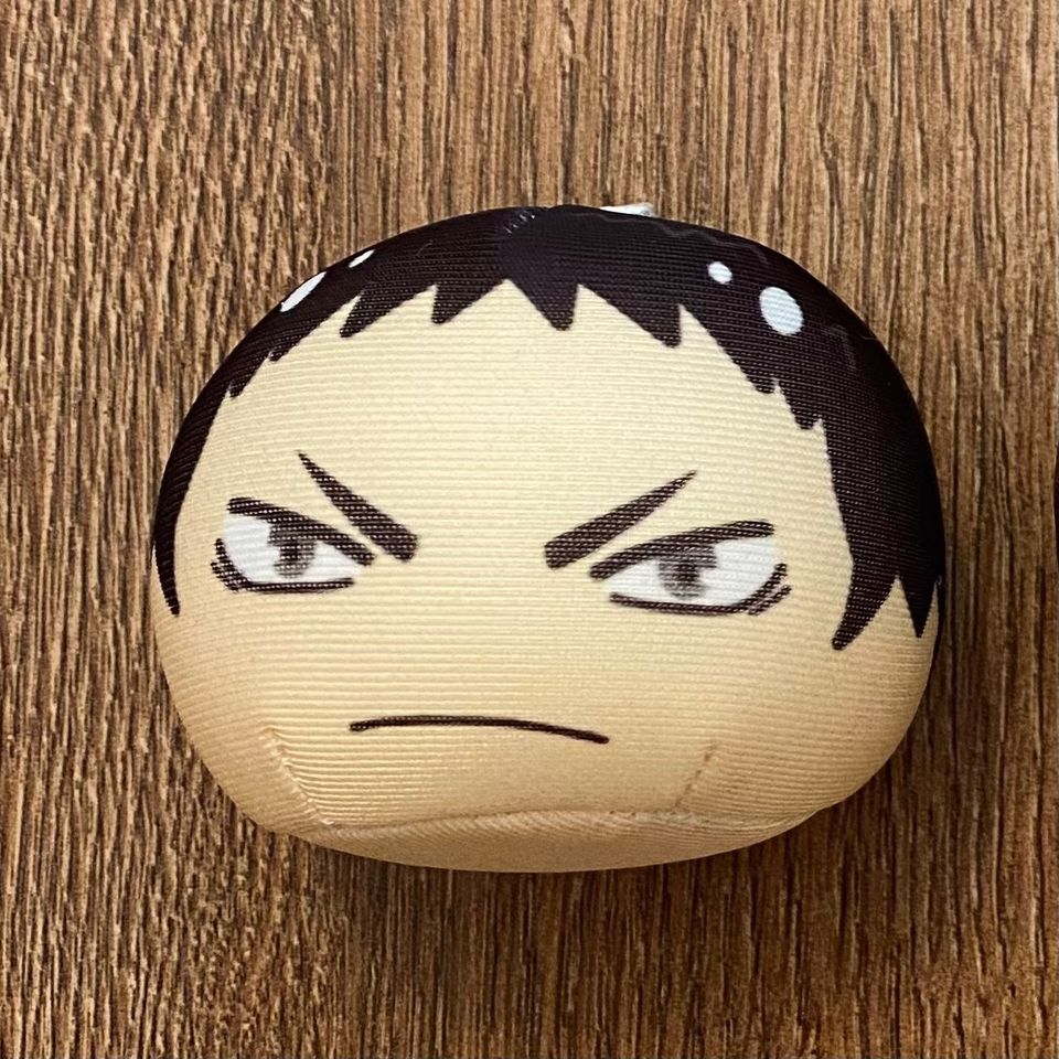 Haikyuu!! Iwaizumi Hajime omanjuu mascot