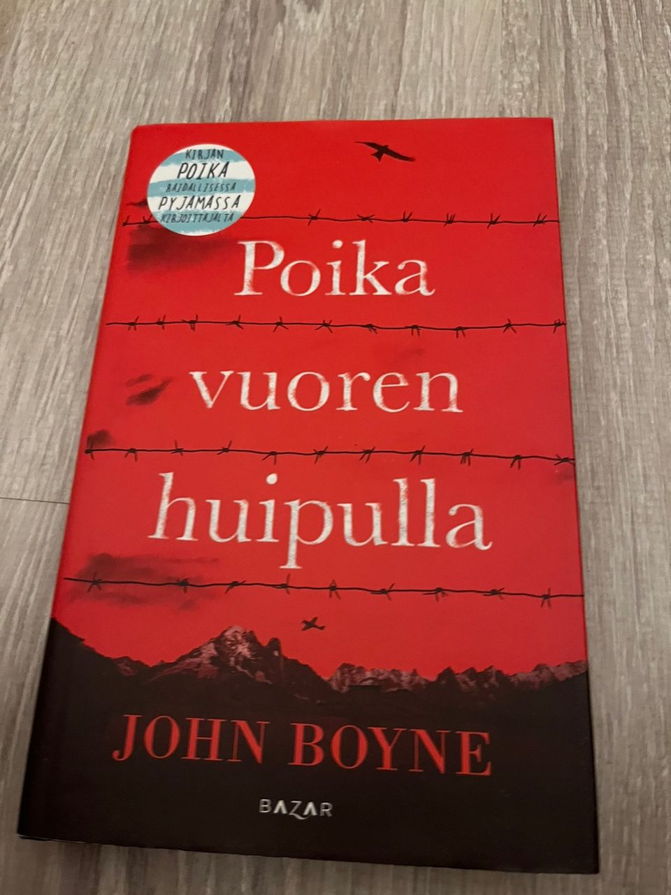 John Boyne - Poika vuoren huipulla