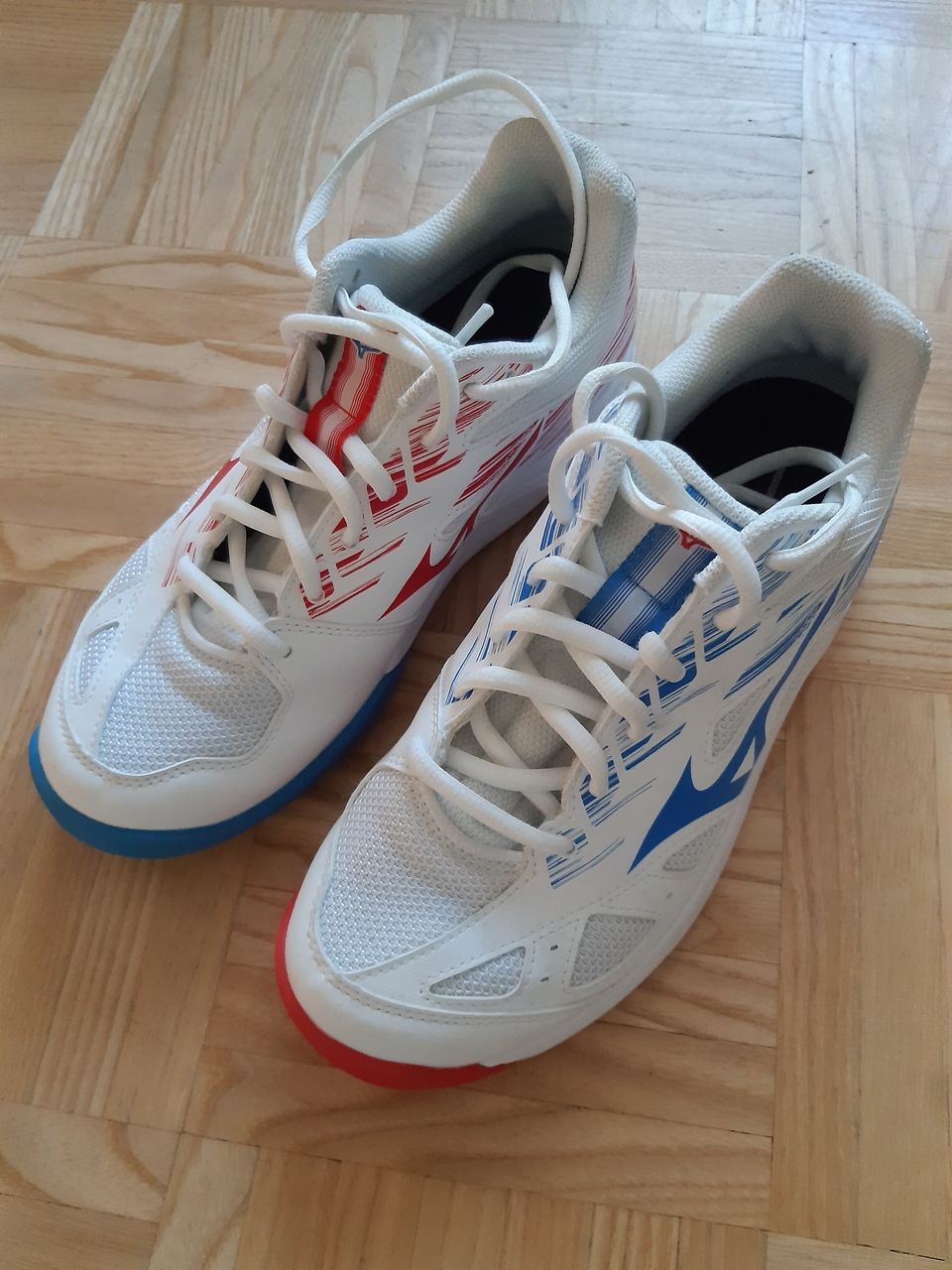 Mizuno sisäpelikengät 38