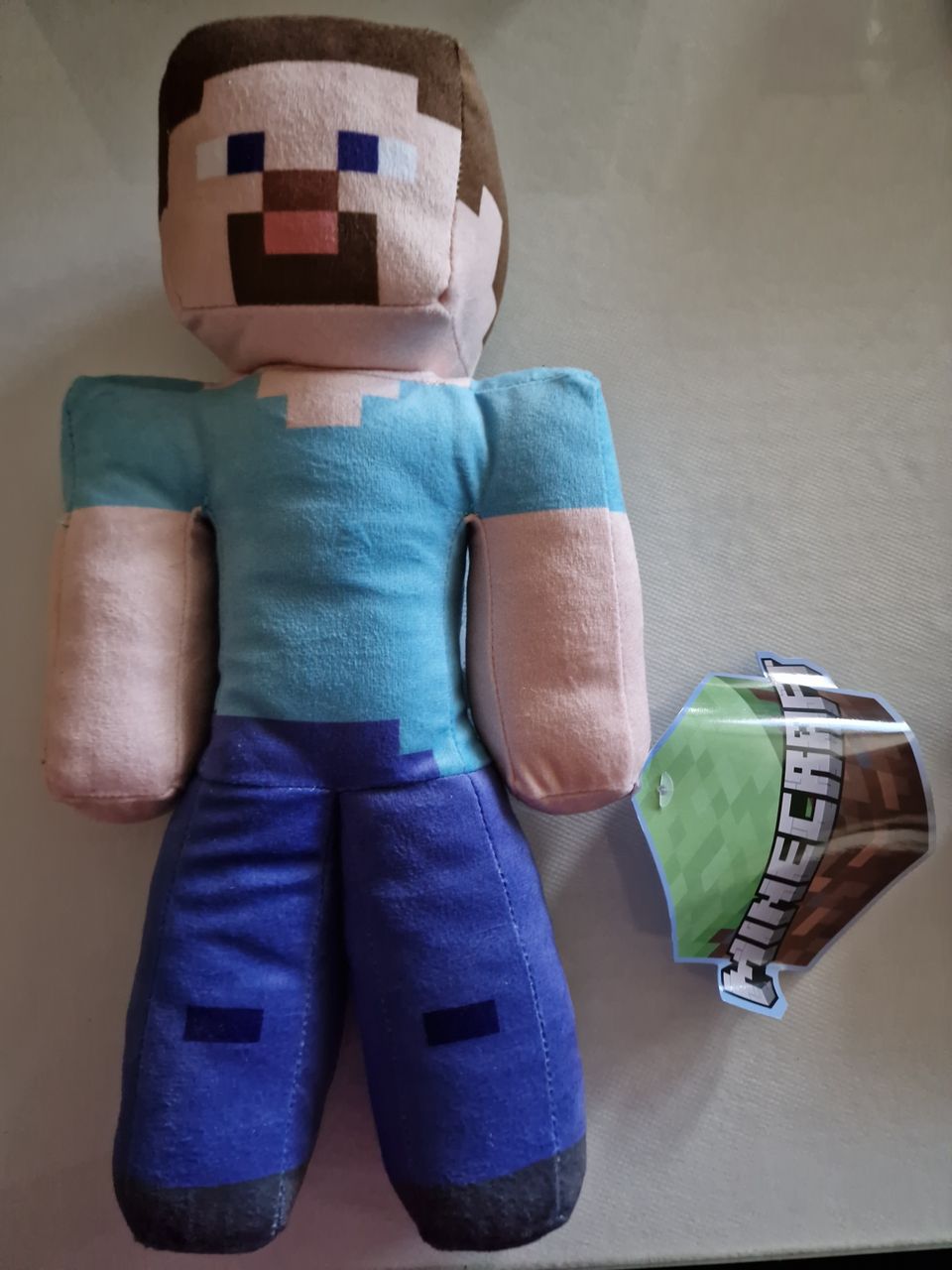 Minecraft Steve