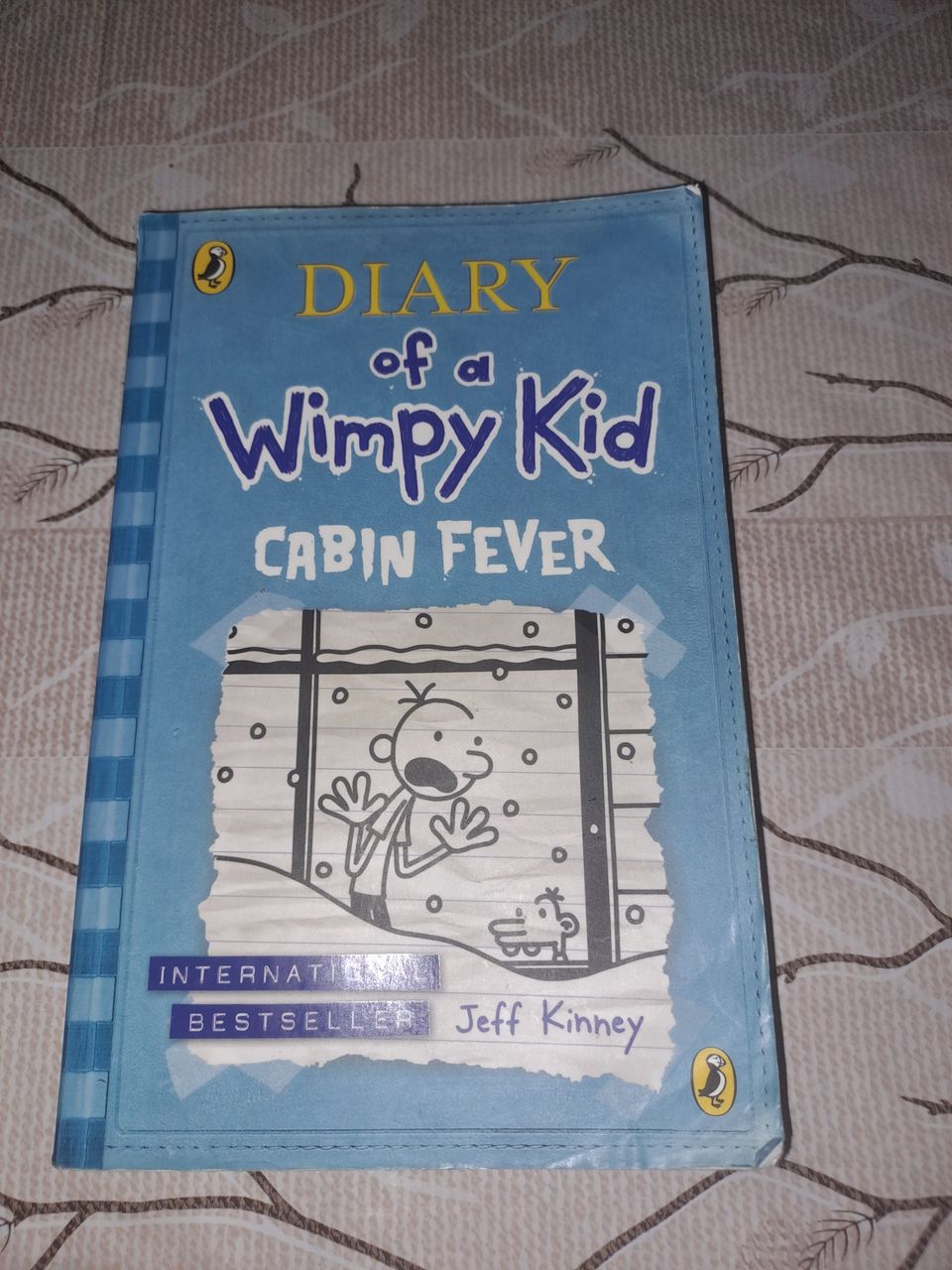 Diary of a Wimpy Kid (Cabin Fever)