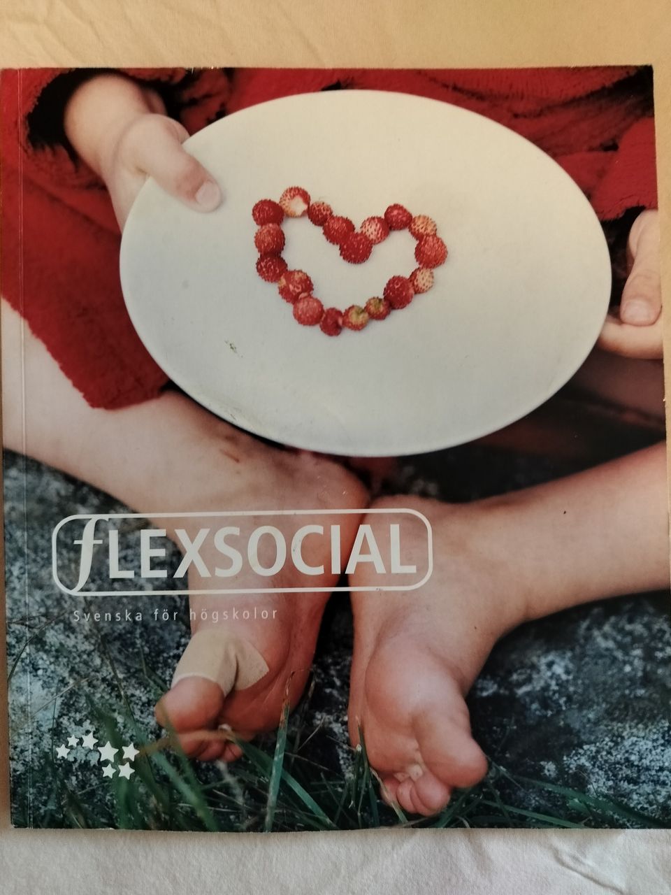 Flexsocial - ammattikorkeakoulun ruotsia sosiaalialalle