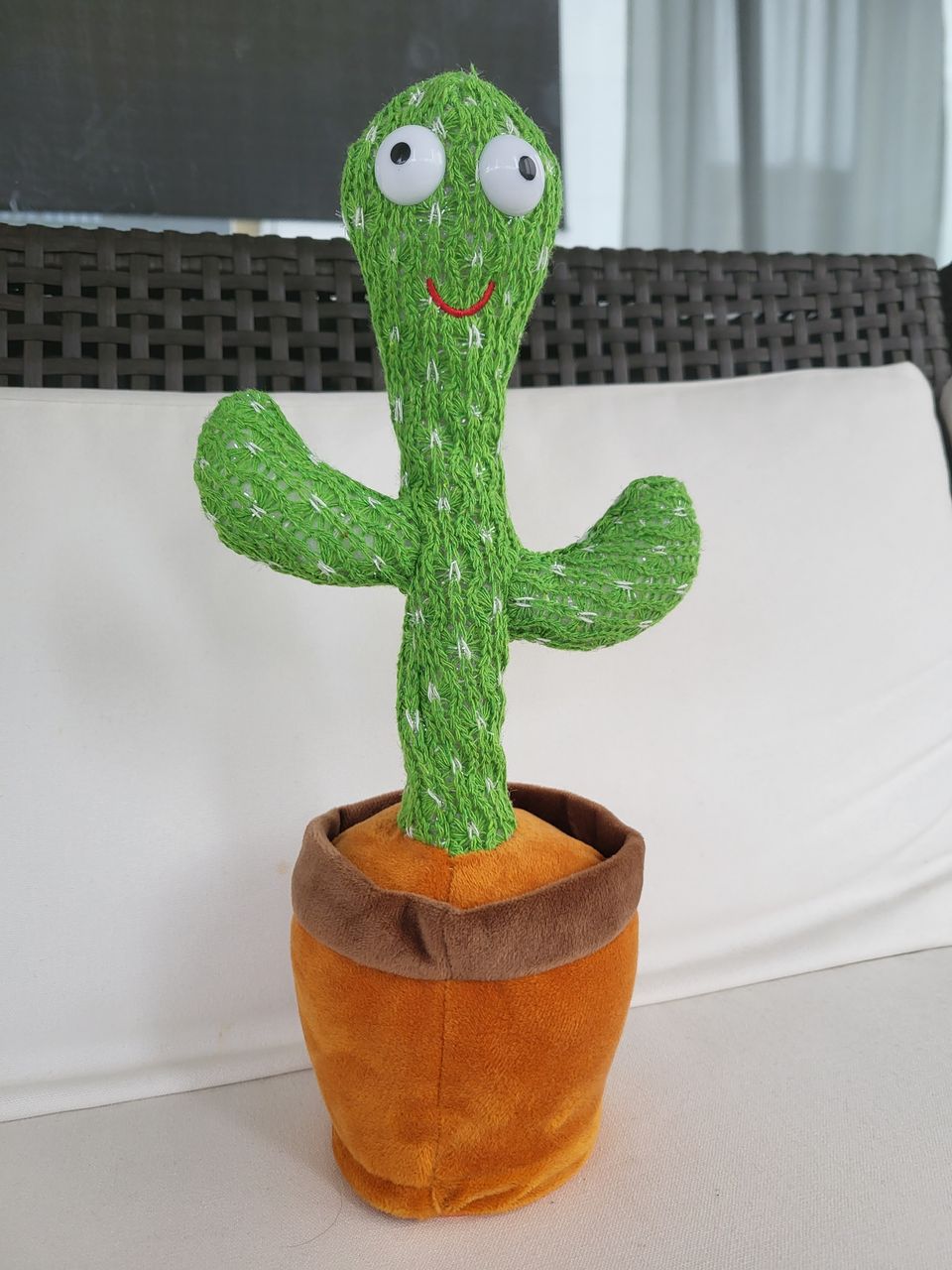 Puhuva kaktus
