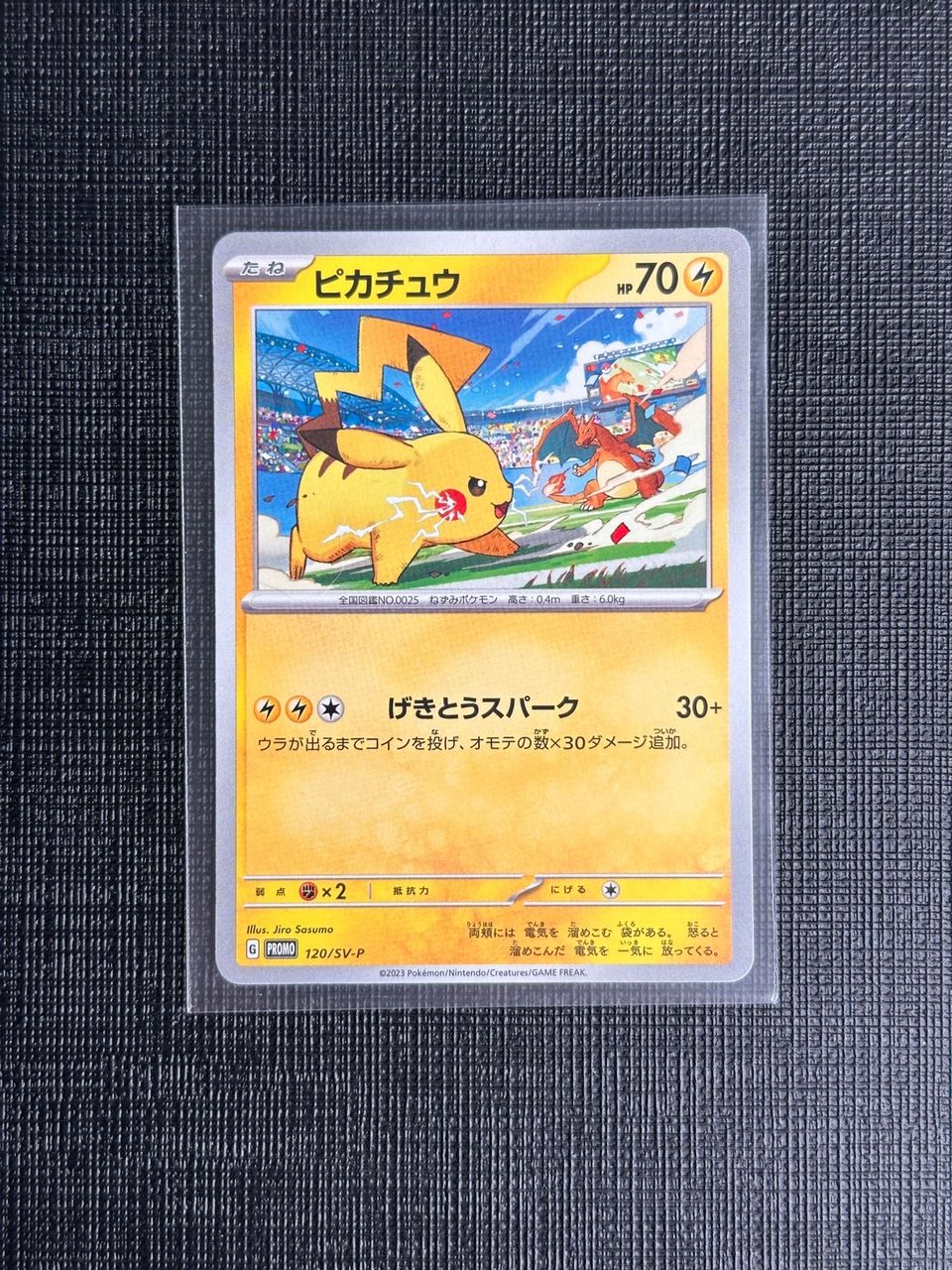 Pokemon card Pikachu vs Charizard Gym event PROMO