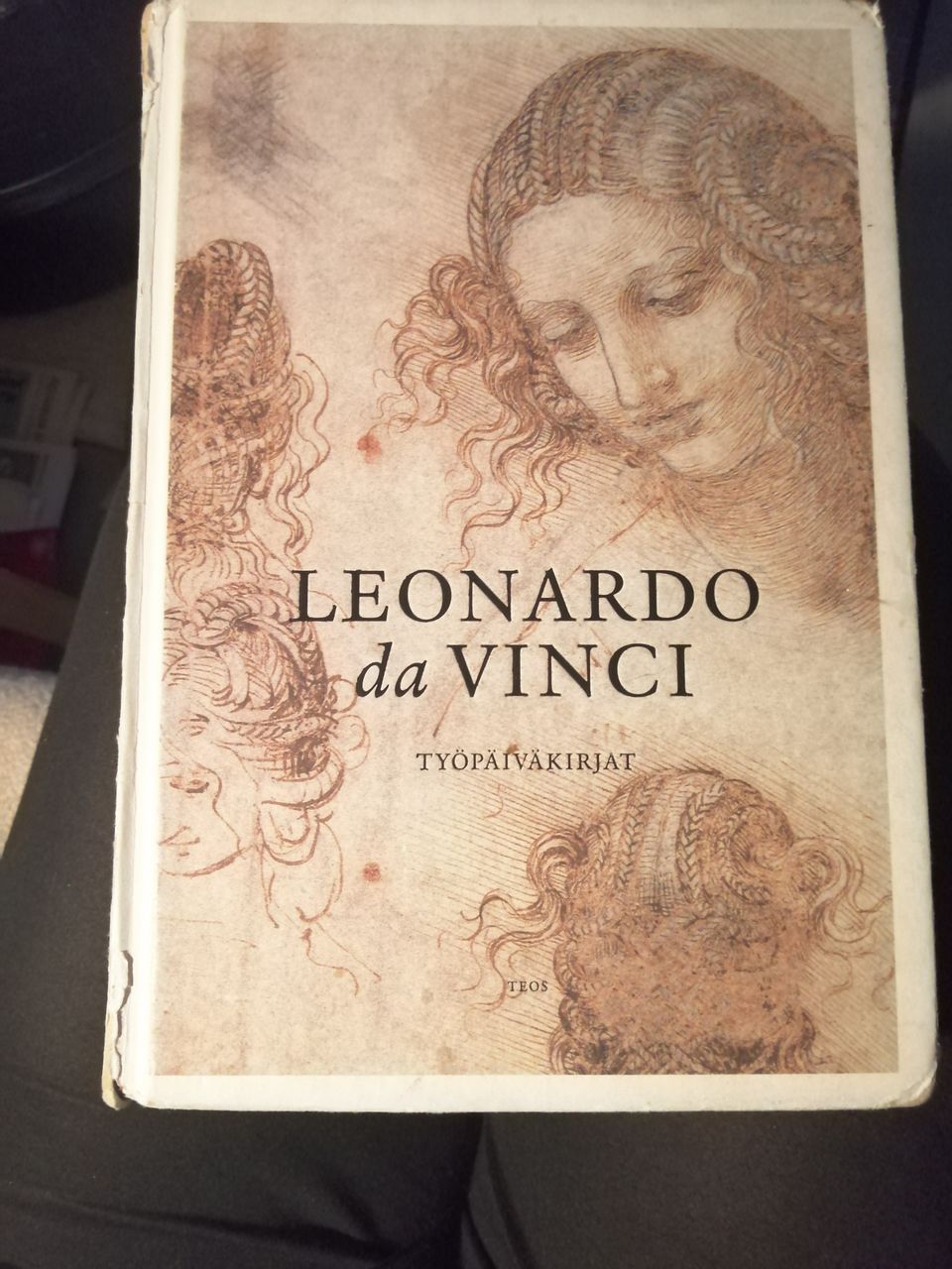 Leonardo da vinci:Työpäiväkirjat