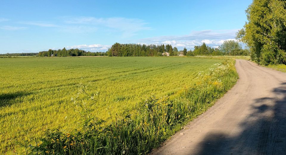 Ostetaan omakotitalo kokkolasta