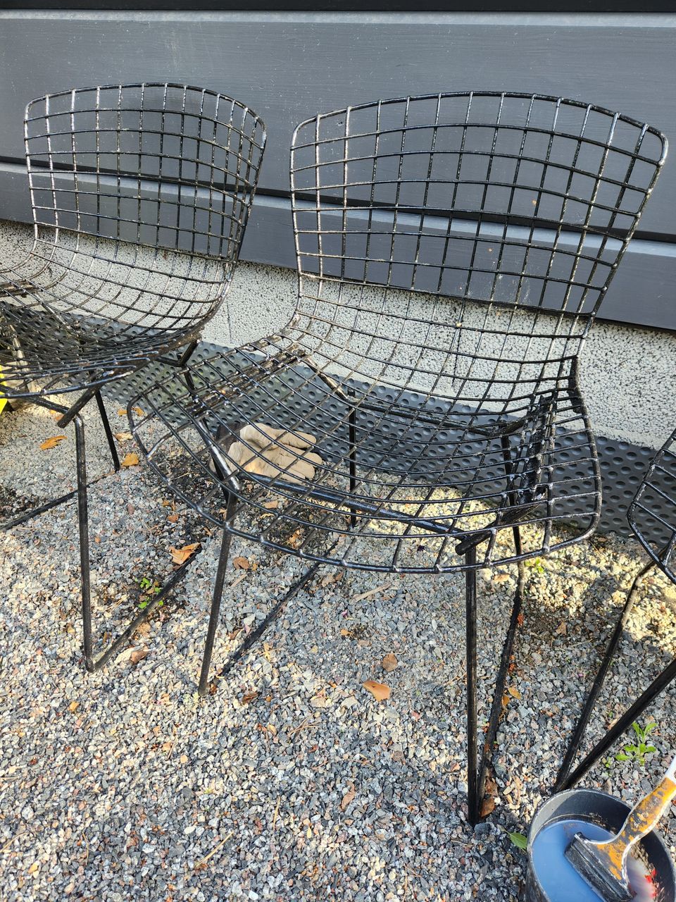 Verkkotuoli bertoia