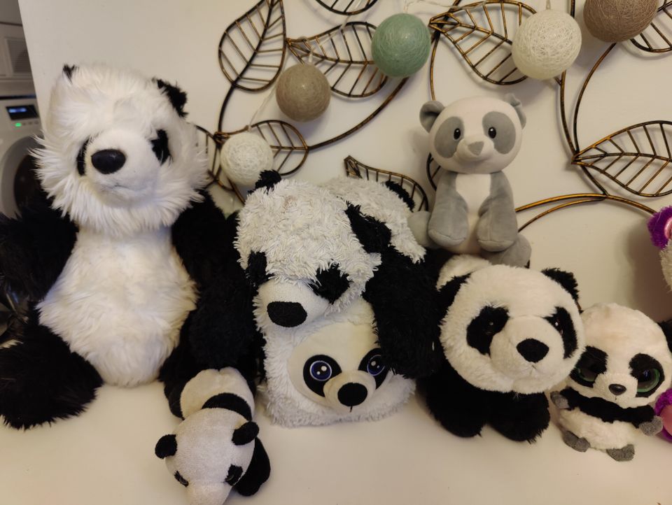 Panda pehmoleluja, sekalaisia ja Ty / Lumo Star