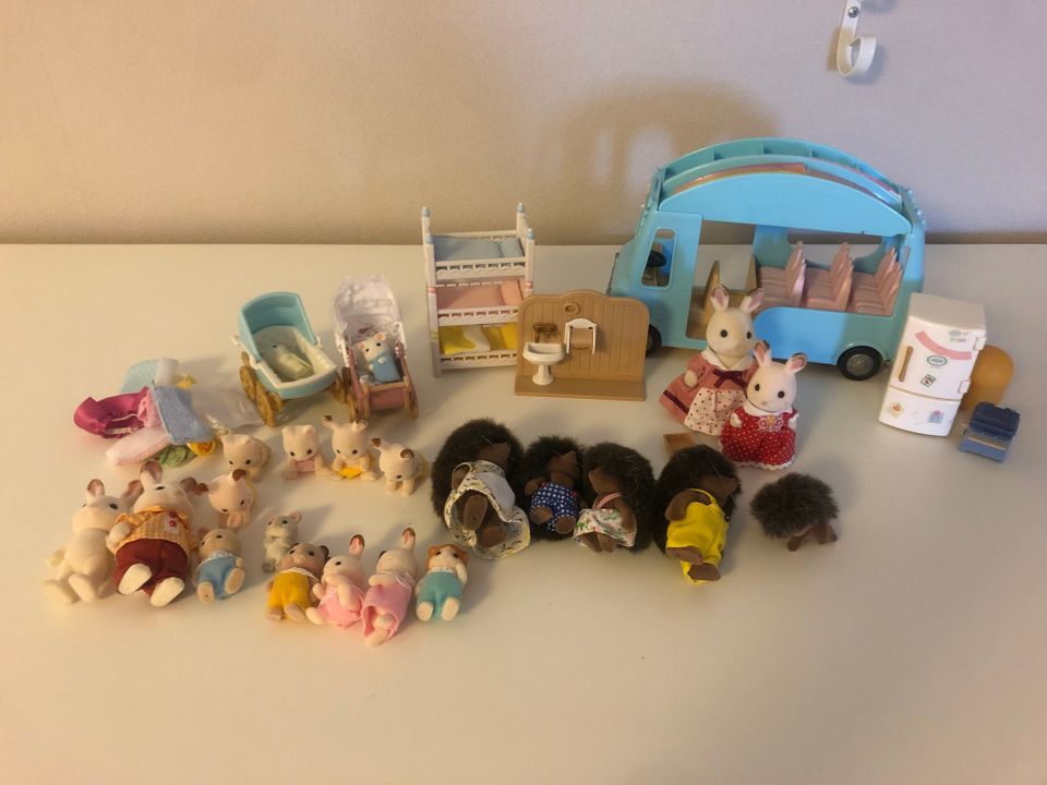 Sylvian families