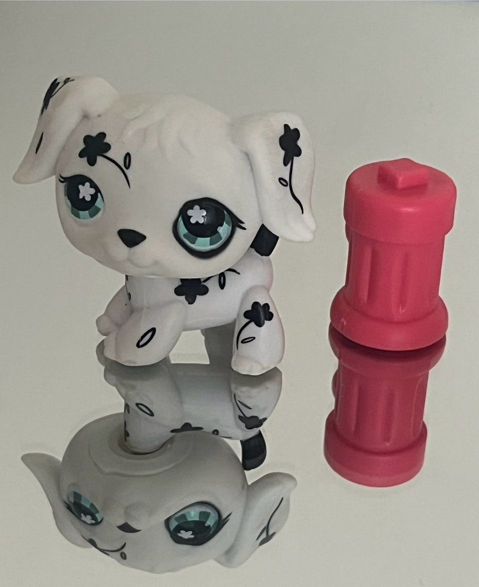 Lps dalmatialainen #469