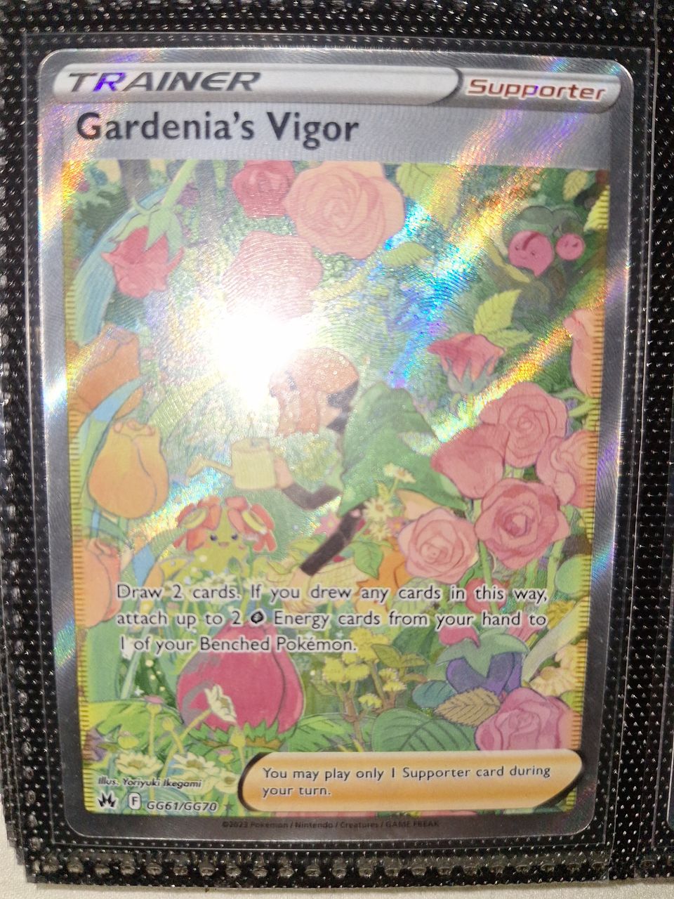 Pokemon Gardenia's Vigor GG61/GG70