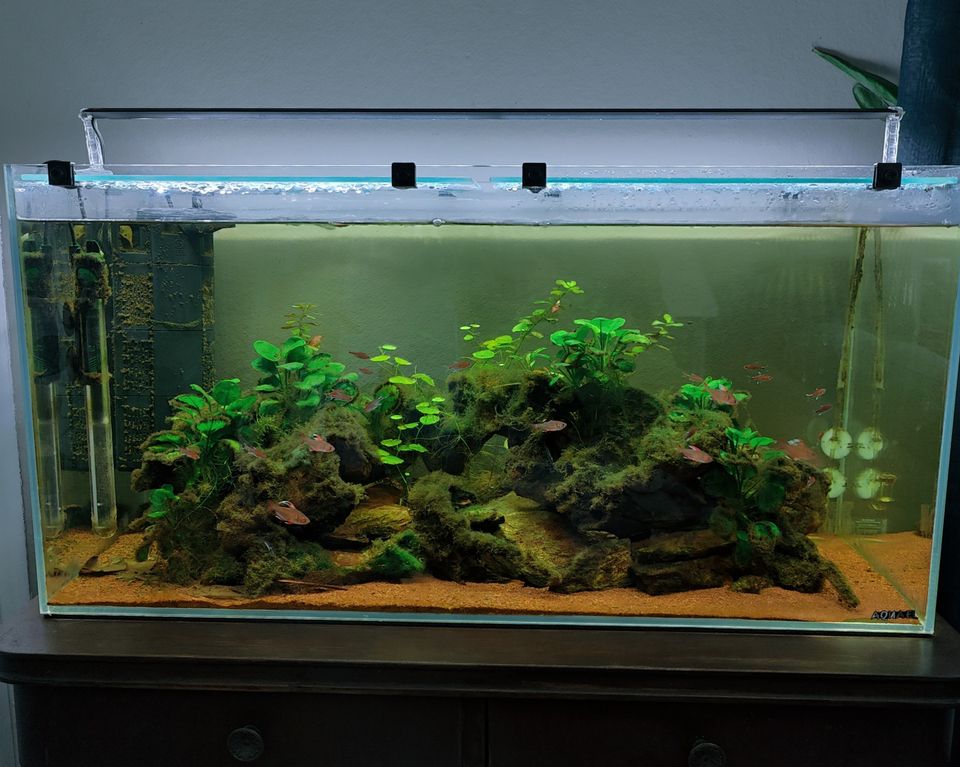 Akvaario, Aquael Opti Tank 80