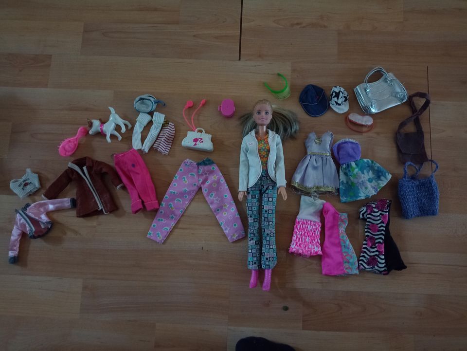 Barbie ja paljon tarvikkeita