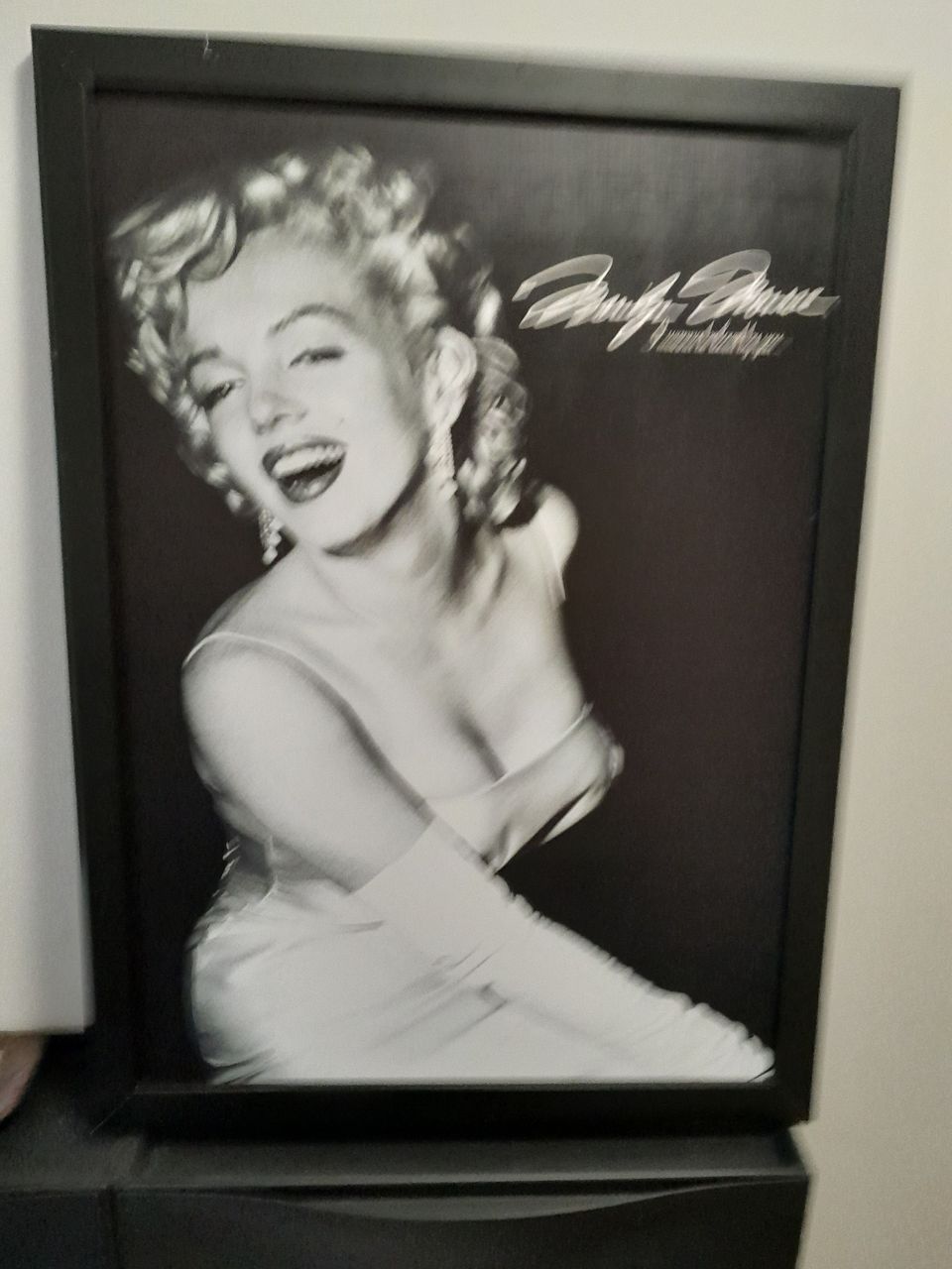 Marilyn Monroe taulu