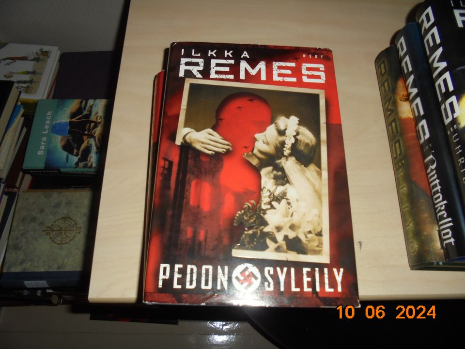 ilkka remes - pedon syleily