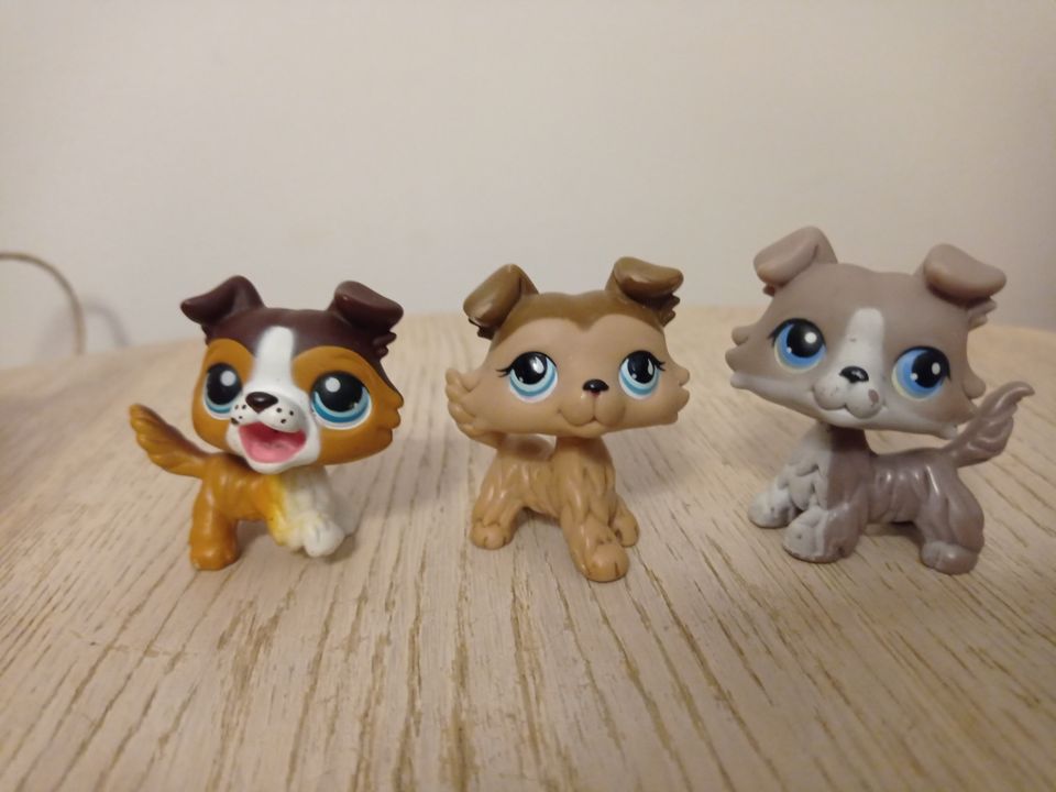 Aidot littlest pet shop colliet