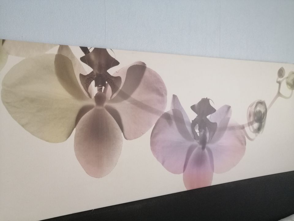 IKEA sisustustaulu, orkidea