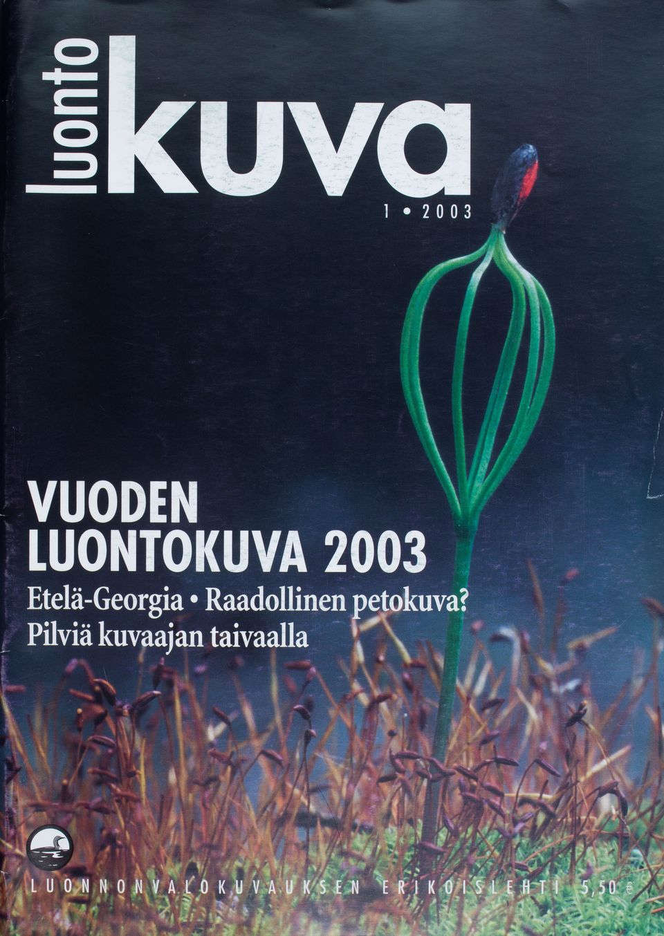 Ilmoituksen kuva