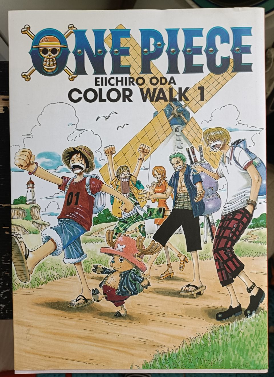 One piece color walk no. 1