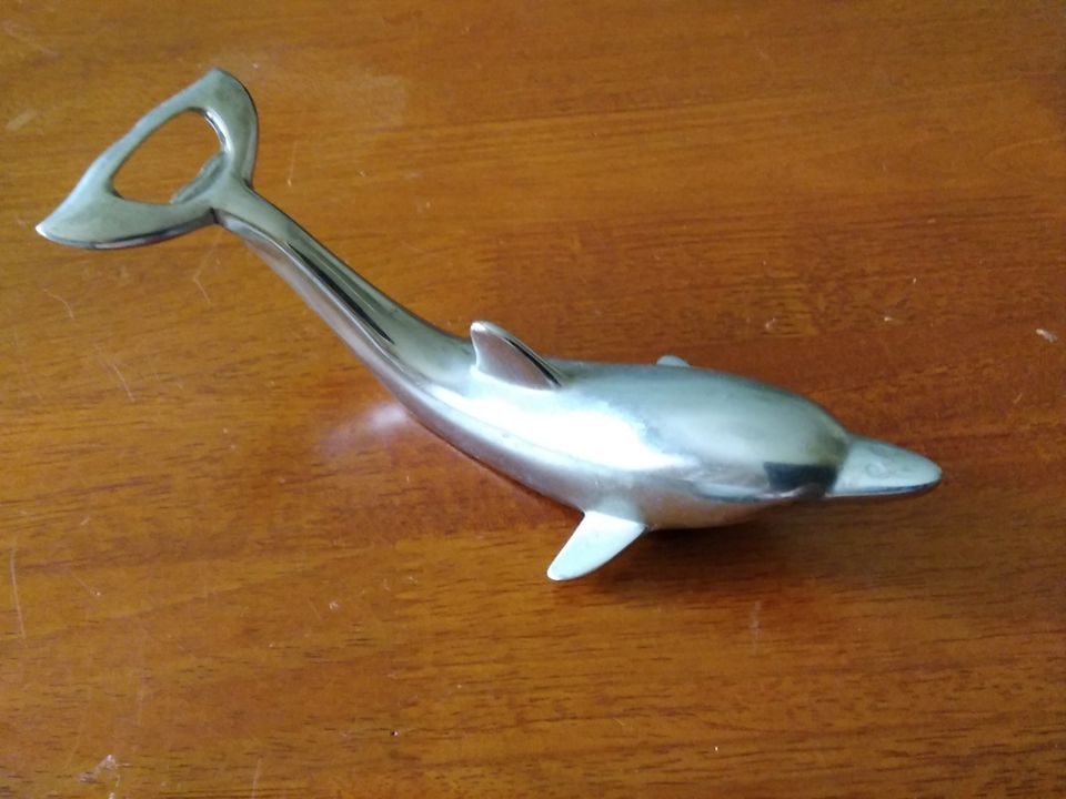 Delfiini korkinavaaja