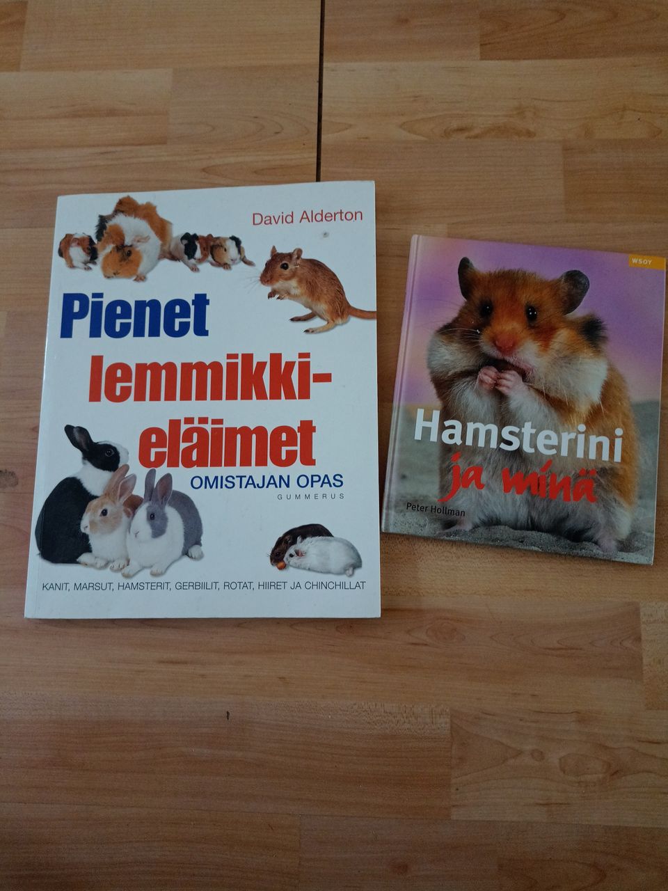 Hamsteri kirja ja lemmikkieläinkirja