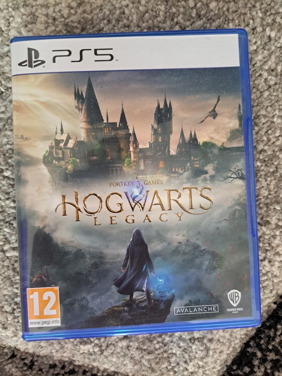 PS5 Hogwarts legacy