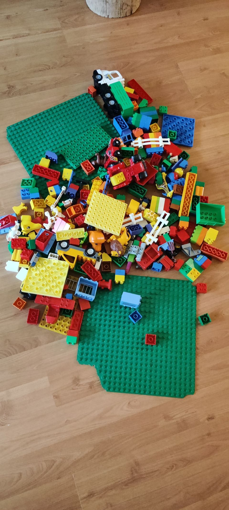 Kassillinen Lego Duploja