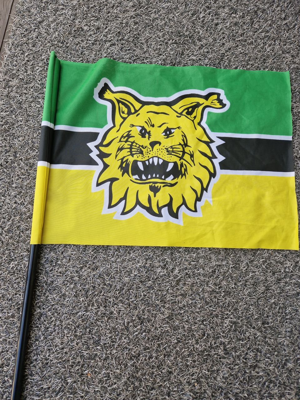 Ilves kannatuslippu