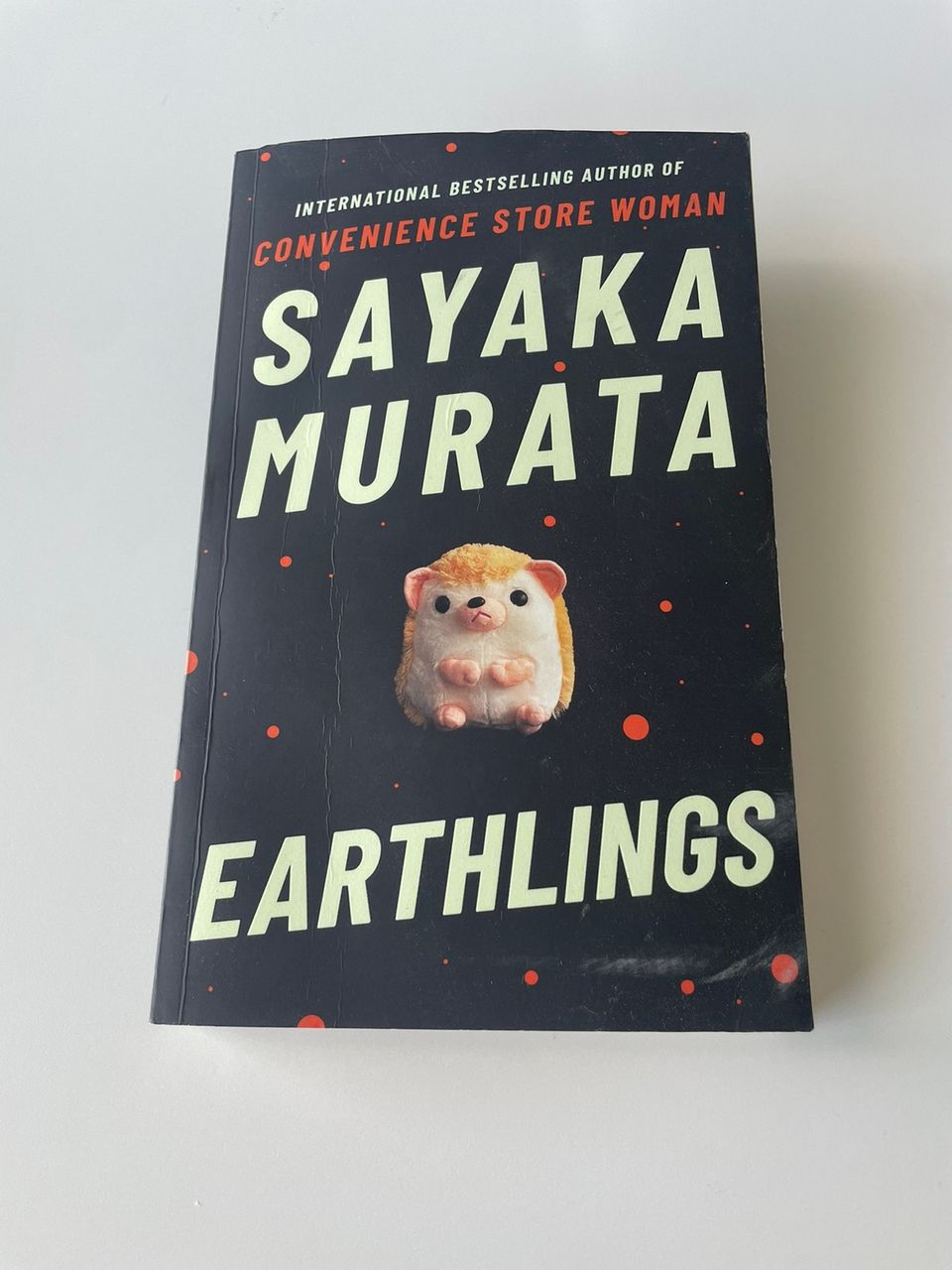 Sayaka Murata / Earthlings