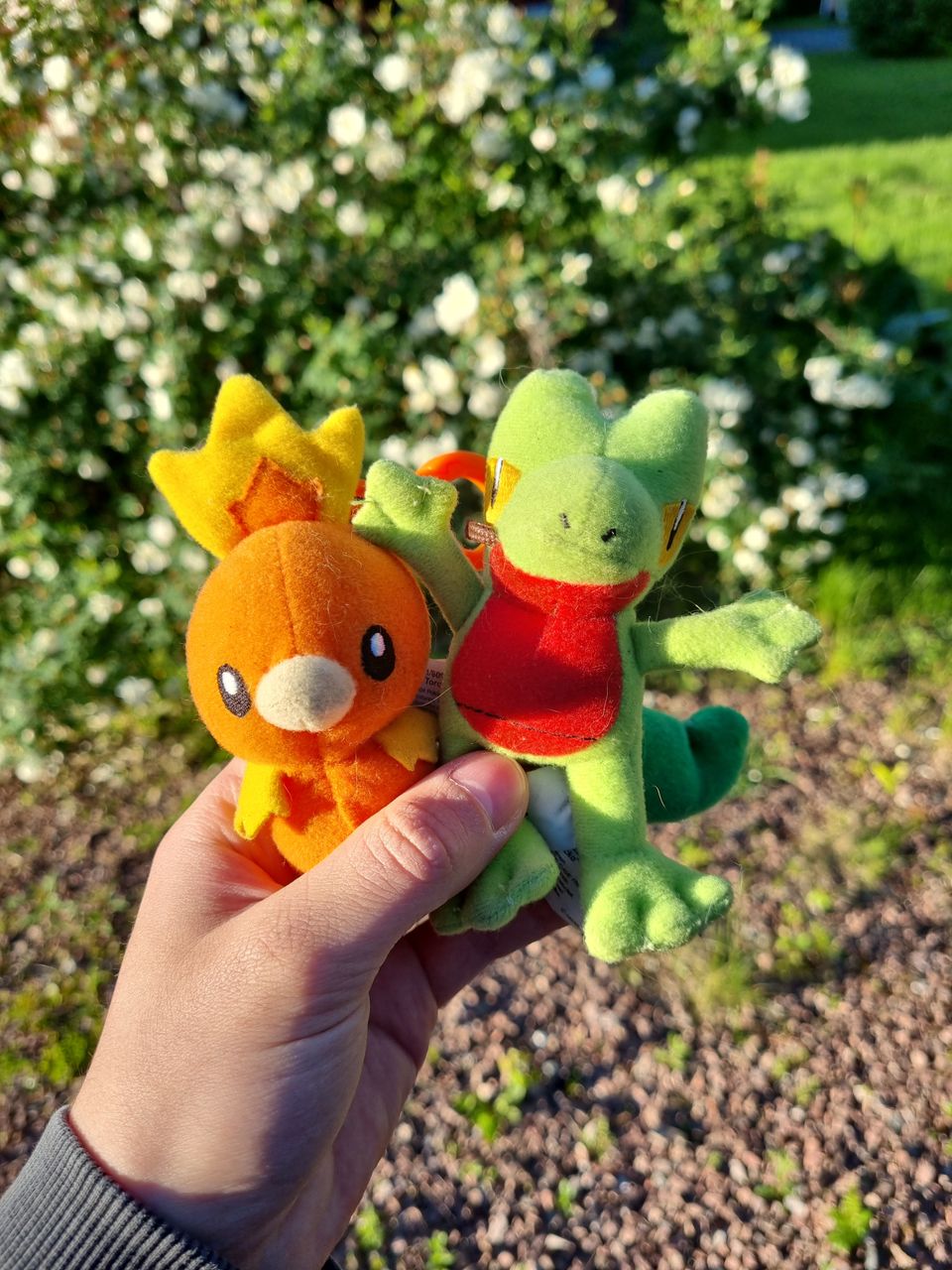 Pokemon Treecko ja Torchic pehmolelut/avaimenperät