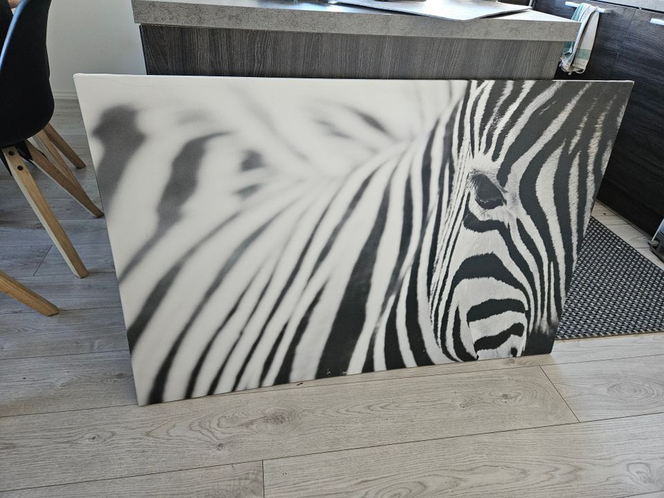 Ikea zebra kanvas taulu