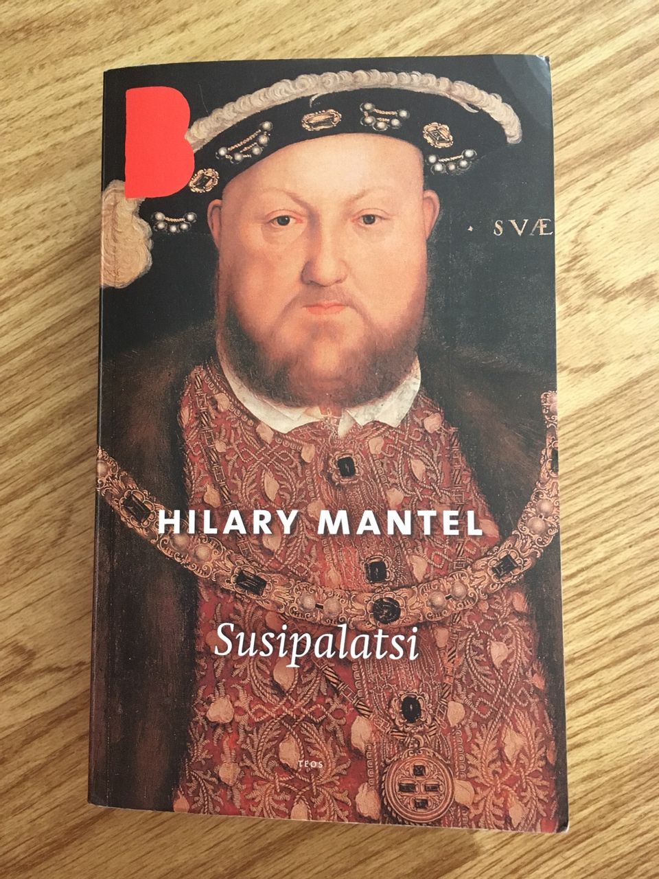 Hilary Mantel: Susipalatsi