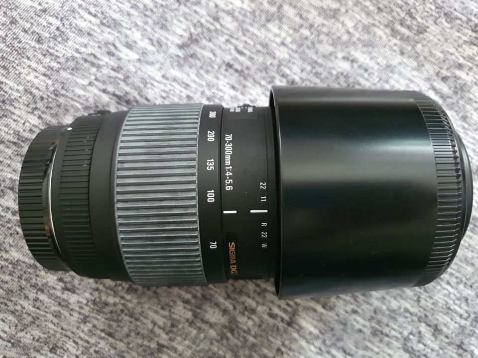 Sigma 70-300mm f4-5.6 DG Macro