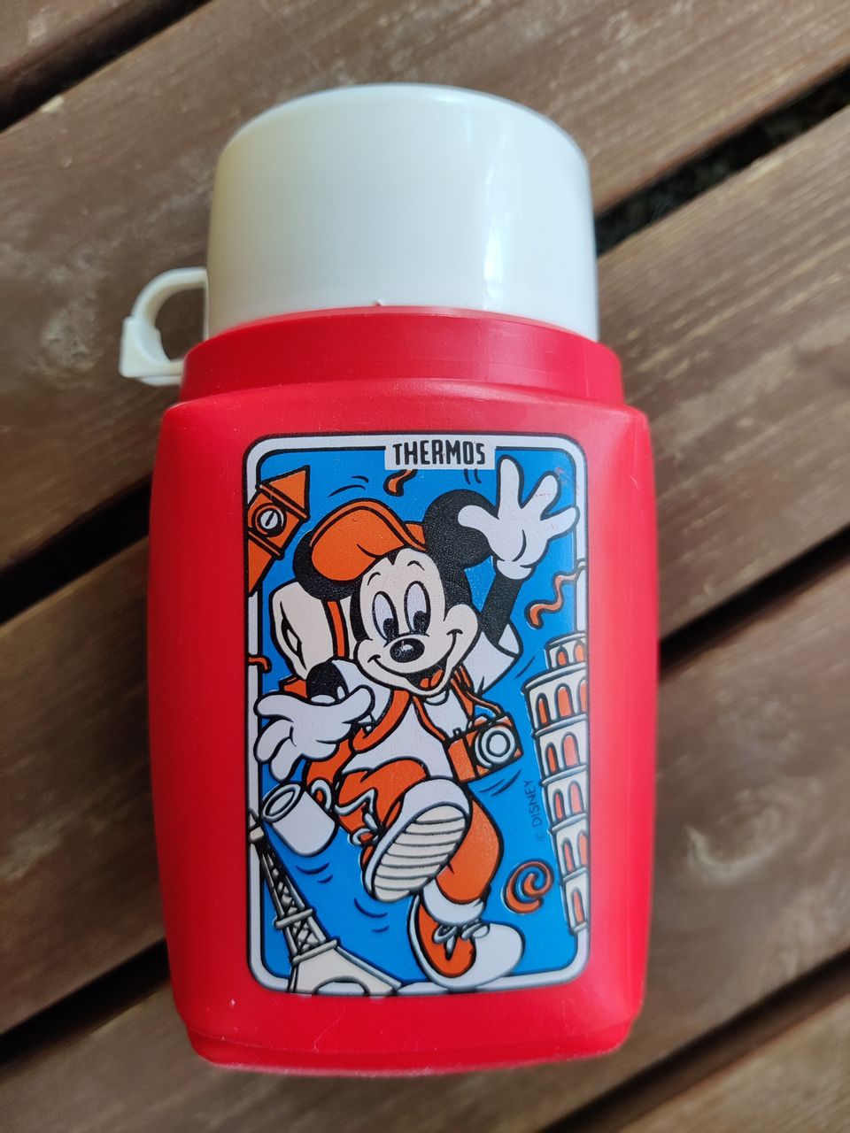 Thermos Disney termospullo