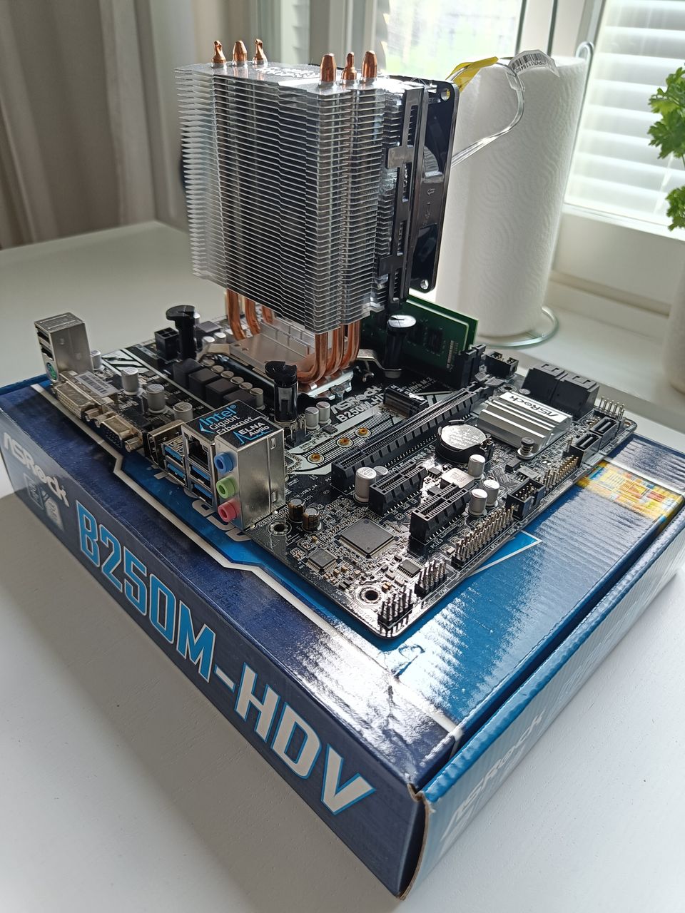 ASRock B250M-HDV emolevy + Windows 10-lisenssi